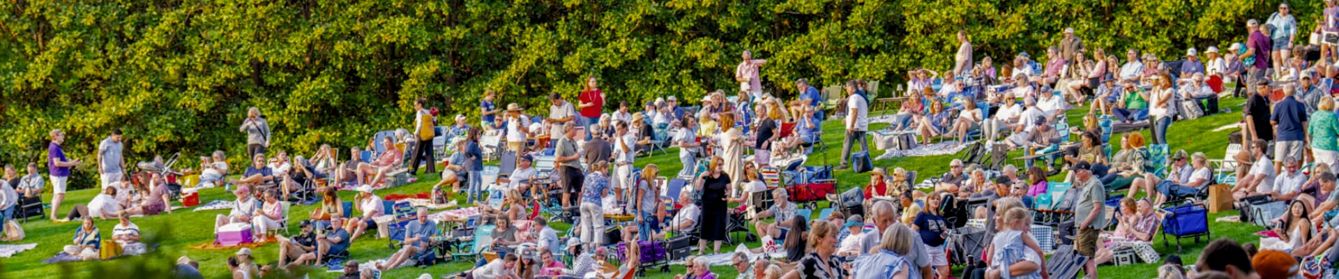 Large crowd sitting on a grassy hill under bright daylight.