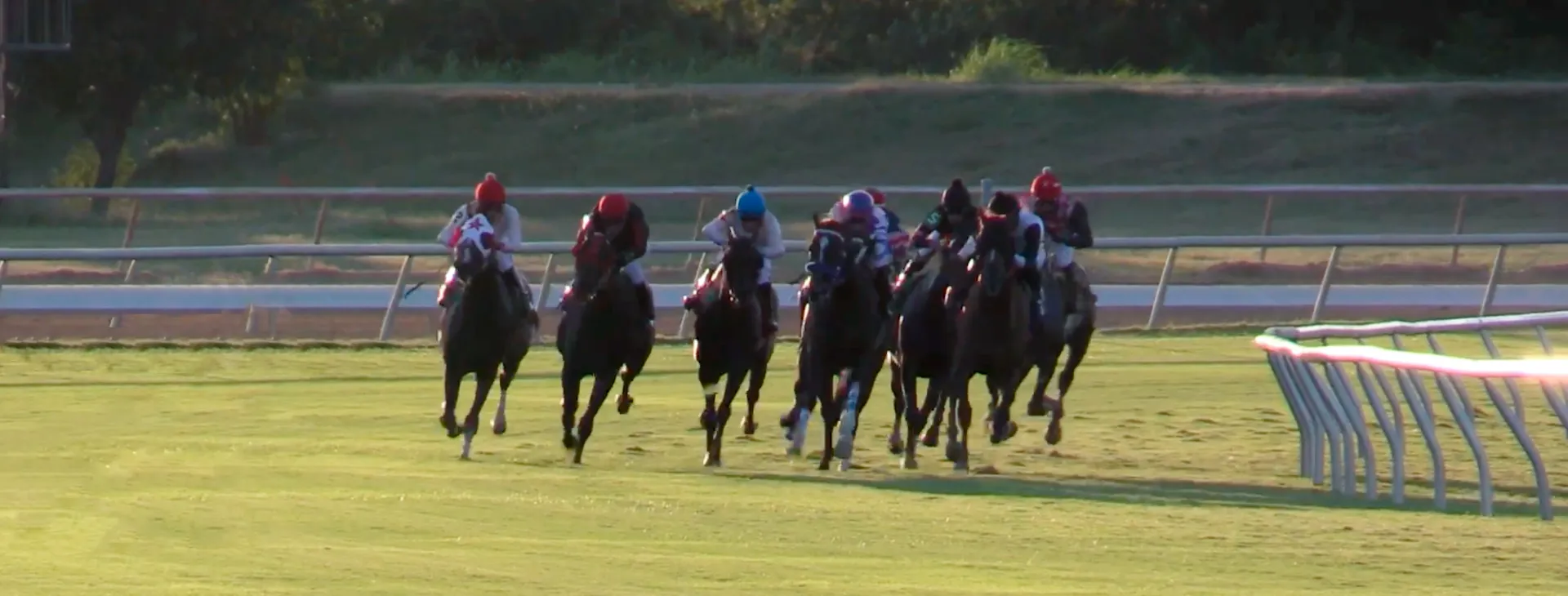 Racehorses with jockeys rounding a turn on a grassy racetrack.