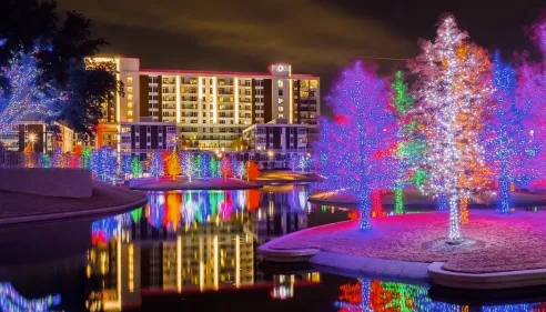 Holiday lights in tress overlooking a lake