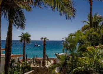 Palm trees and lush greenery overlook a clear blue ocean with a boat in the distance.