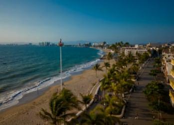 Palm-lined beach and coastal promenade beside blue ocean under a clear sky.